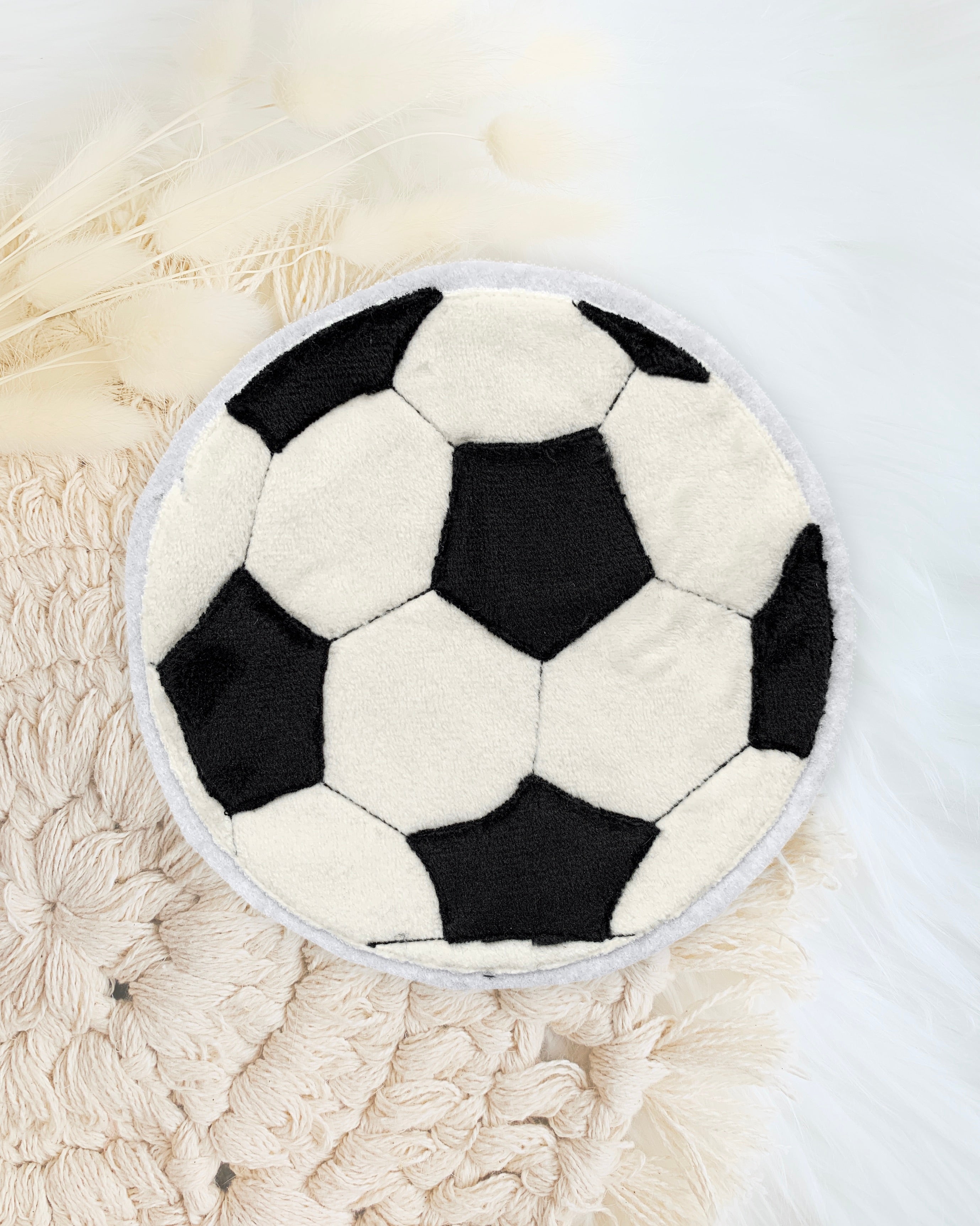 Applikation Fußball "Fritz"