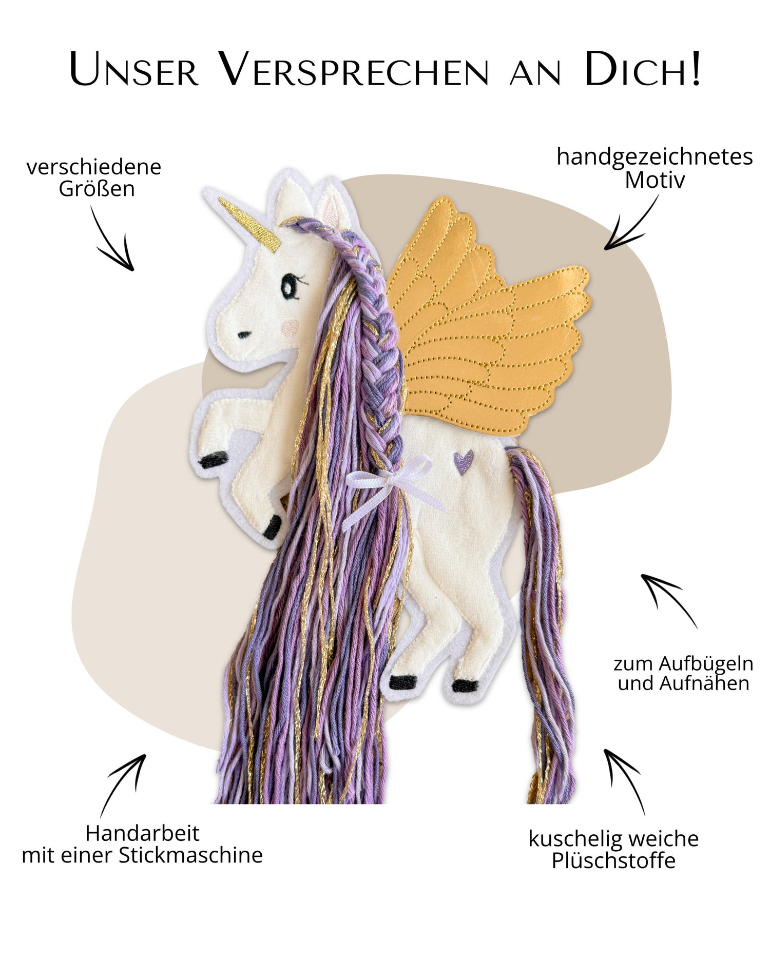 Vorteile Pegasus Applikation