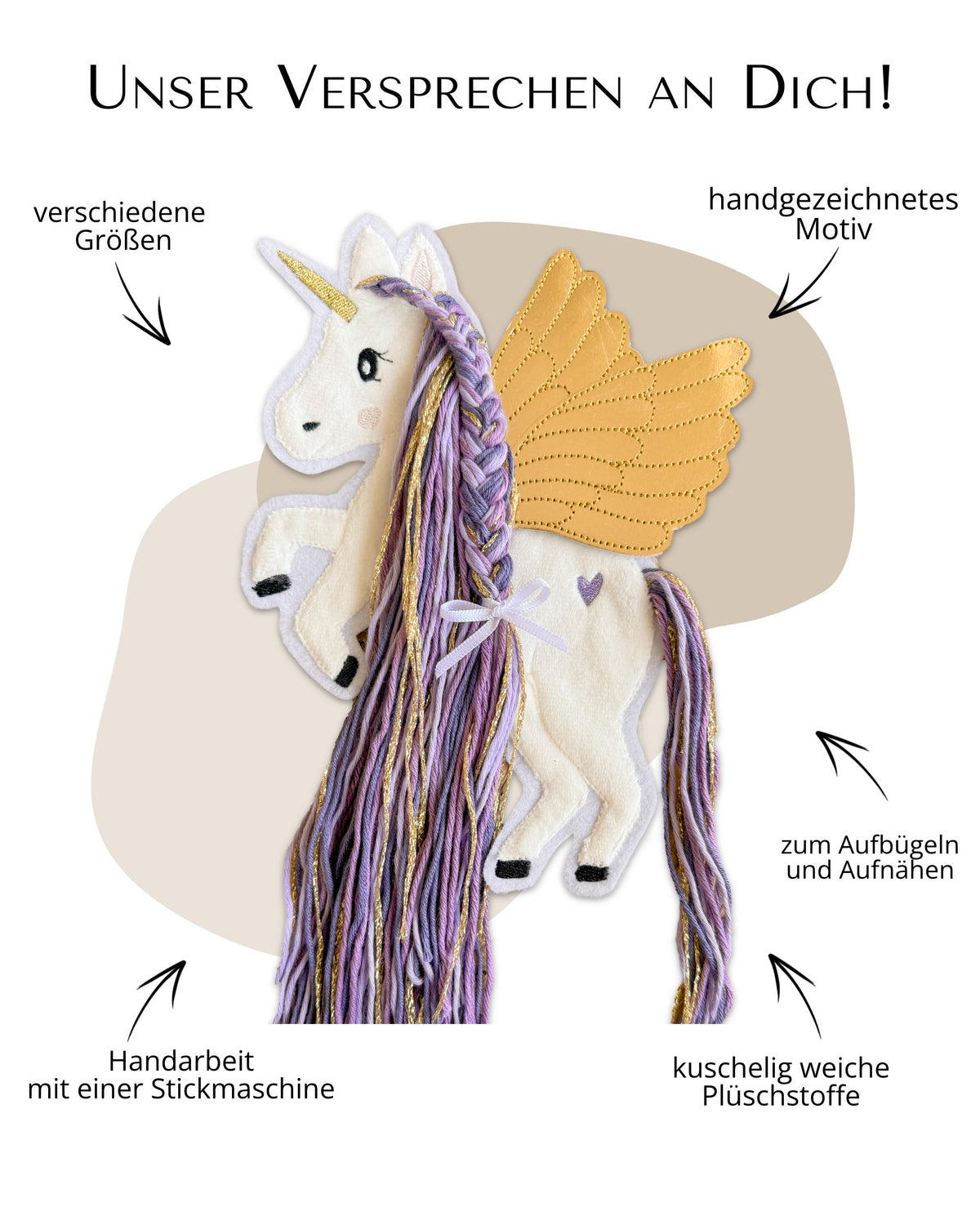 Vorteile Pegasus Applikation